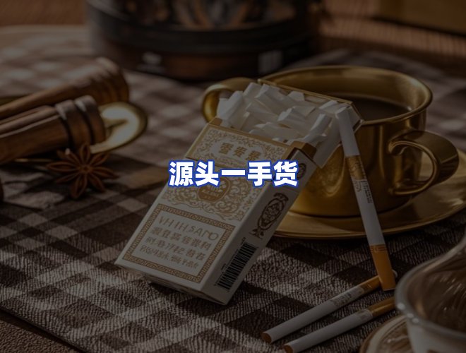 专业团队